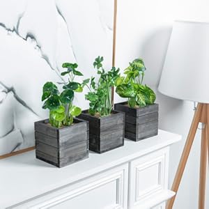 faux plants in grey wooden planter boxes
