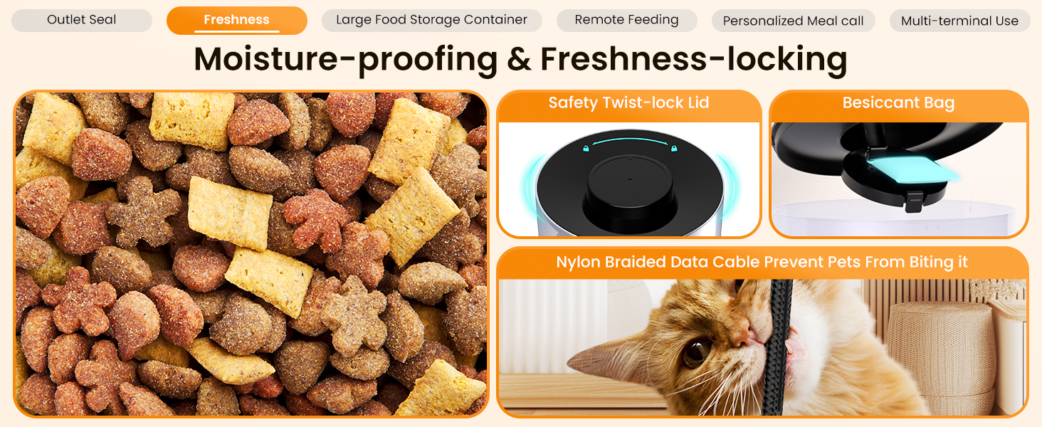 automatic cat feeder