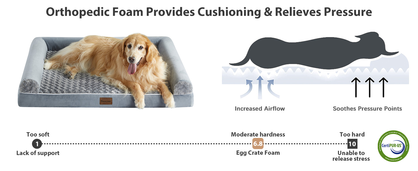 large dog bed