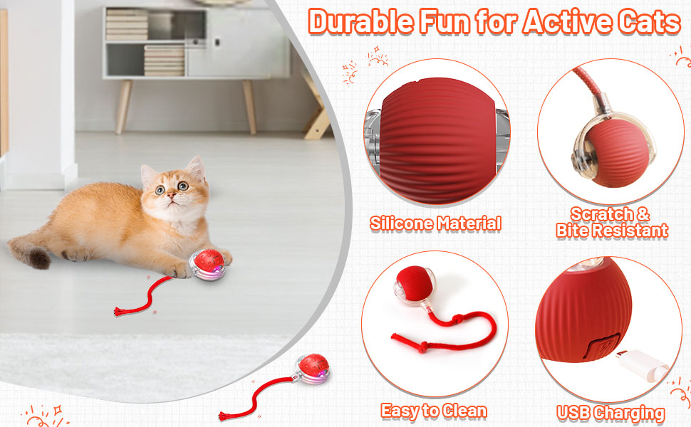 Interactive Cat Toys Ball for Indoor Cats