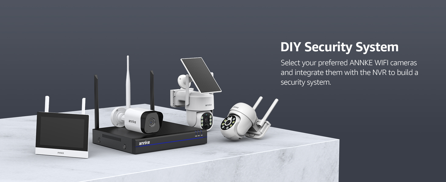 security system