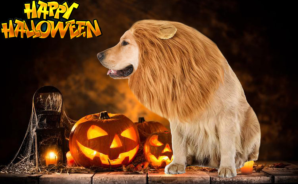 Realistic & Funny Lion Mane for Dogs, Dog Costume
