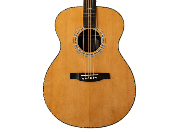 Amazon.com: PRS SE T60 Tonare, Natural with Case : Musical