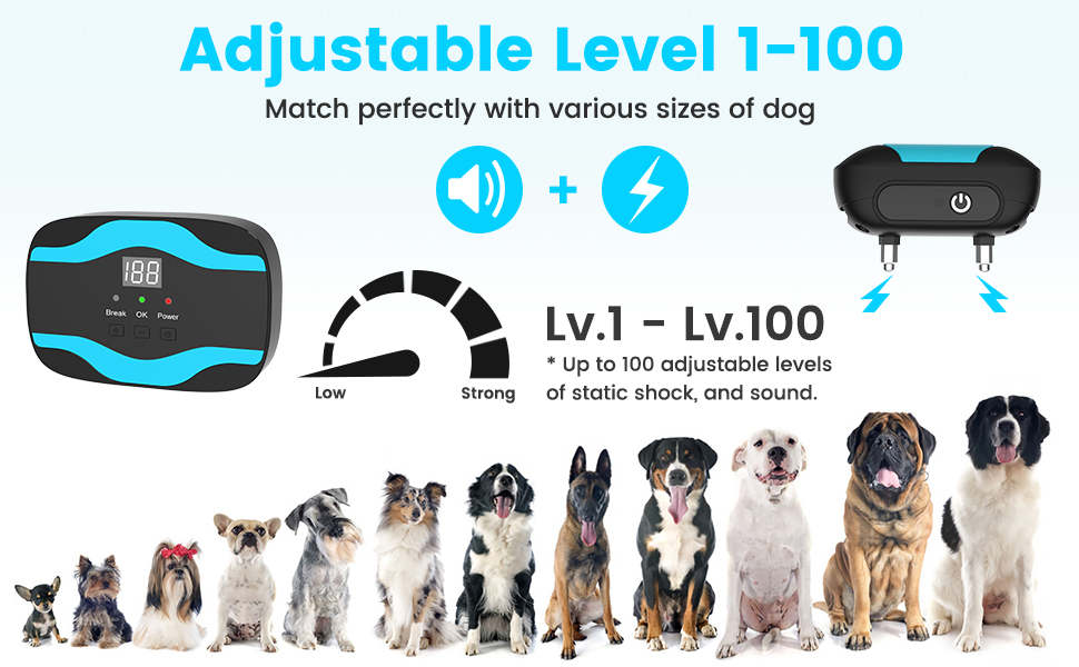 wireless dog fence