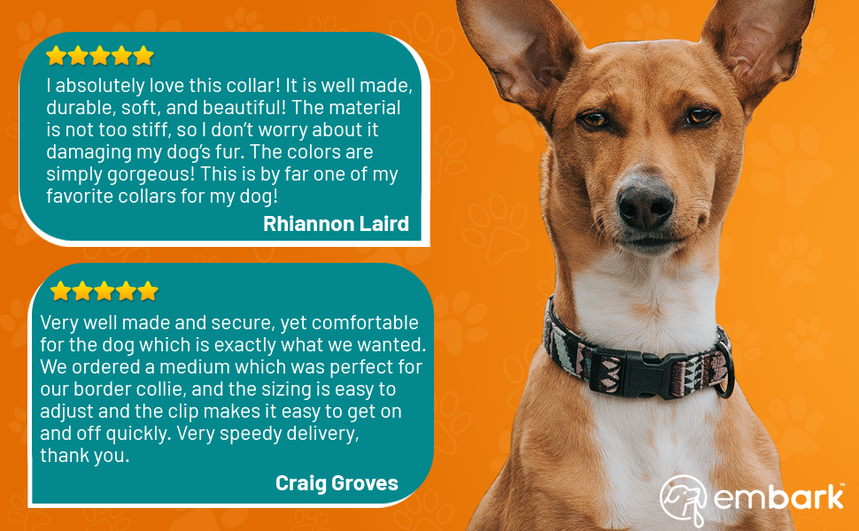 Embark Urban Dog Collar Fun, Vibrant, Cute, Strong and Durable Dog Collars for Small, Medium