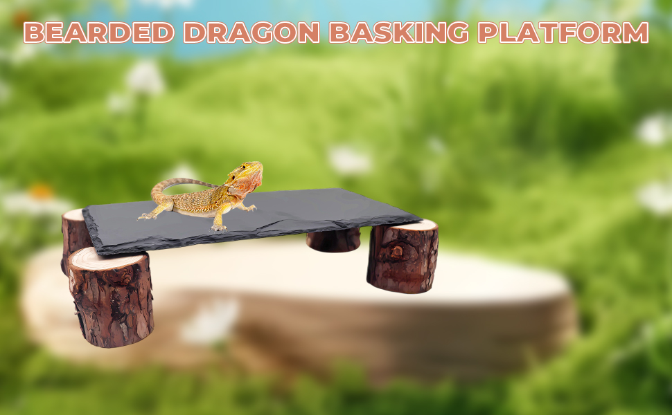 Bearded Dragon Basking Platform, Slate Rocks for Reptiles with Wooden Pile