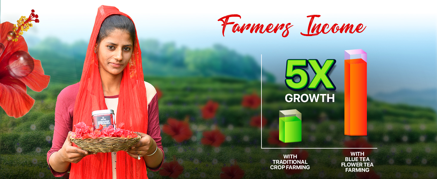 Large manufacture image 6