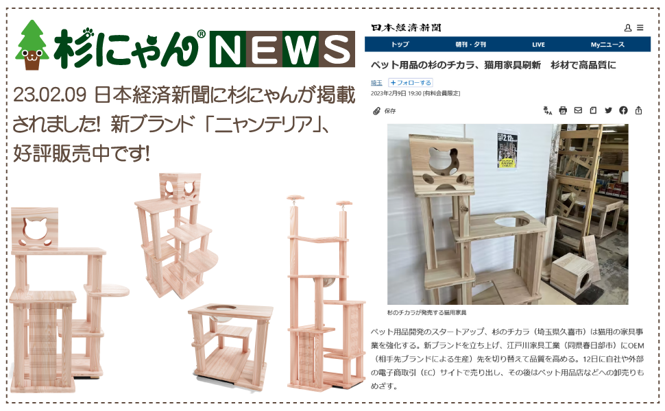 白杉、台杉『特大❗️』引き取り又は近畿地方限定配達&植込み可能。 白杉、台杉『特大❗️』引き取り又は近畿地方限定配達&植込み可能。