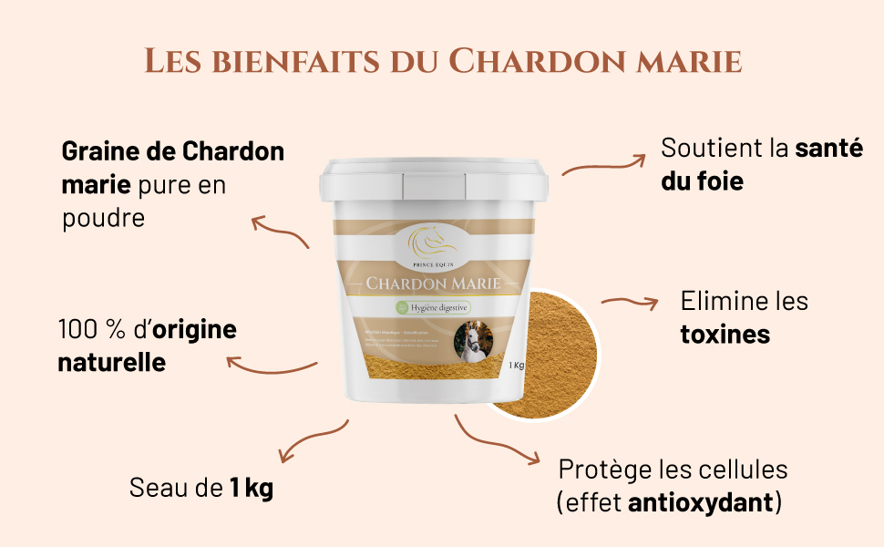 Chardon Marie