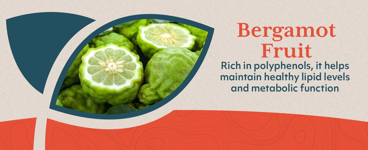 alpha lipoic acid 600mg acido alfa lipoico vitamin plan b slim capsules sciatica palm synergy lipo