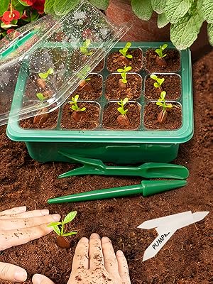 seed starter tray with grow light