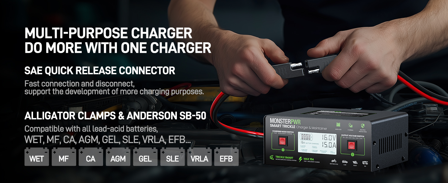 12 volt battery charger