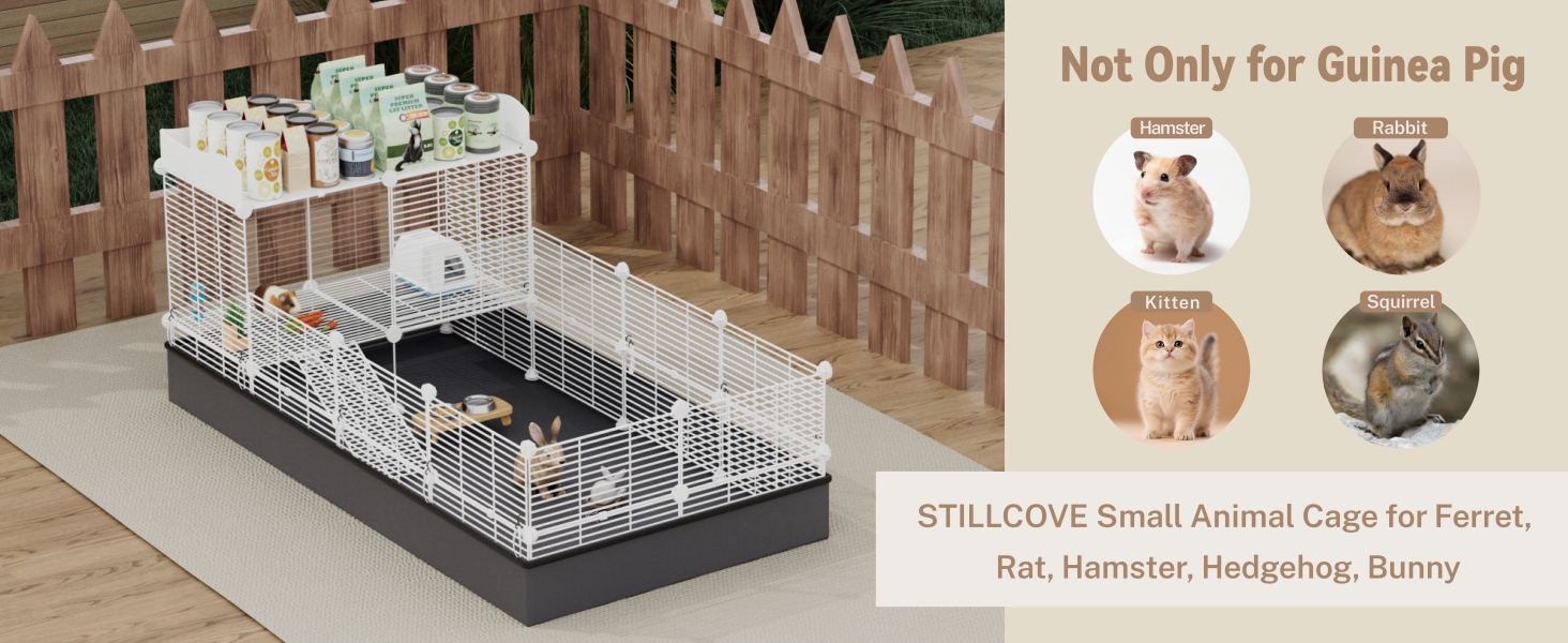 indoor guinea pig cages