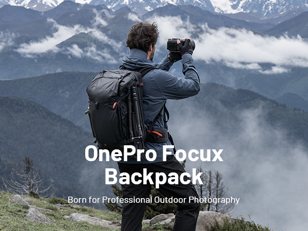 まさむね1piu1uguale3 BACK LOGO DROP S 2000-2001 NISSAN MAXIMA SE REAR LID EMBLEM BADGE SYMBOL LOGO