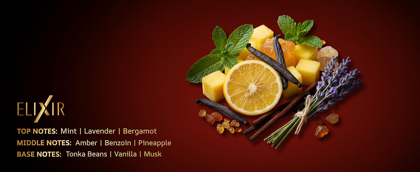 Large manufacture image 5