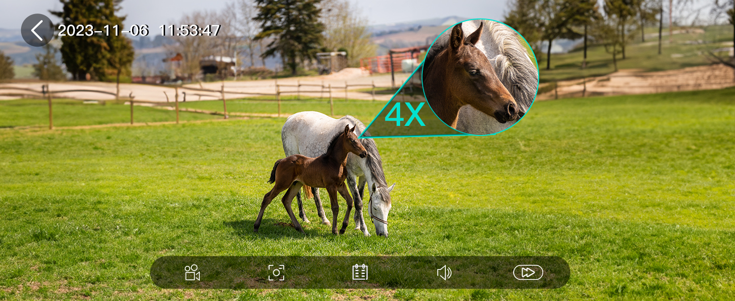 um cavalo e um potre num campo