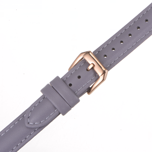 Replacement Wristband Strap