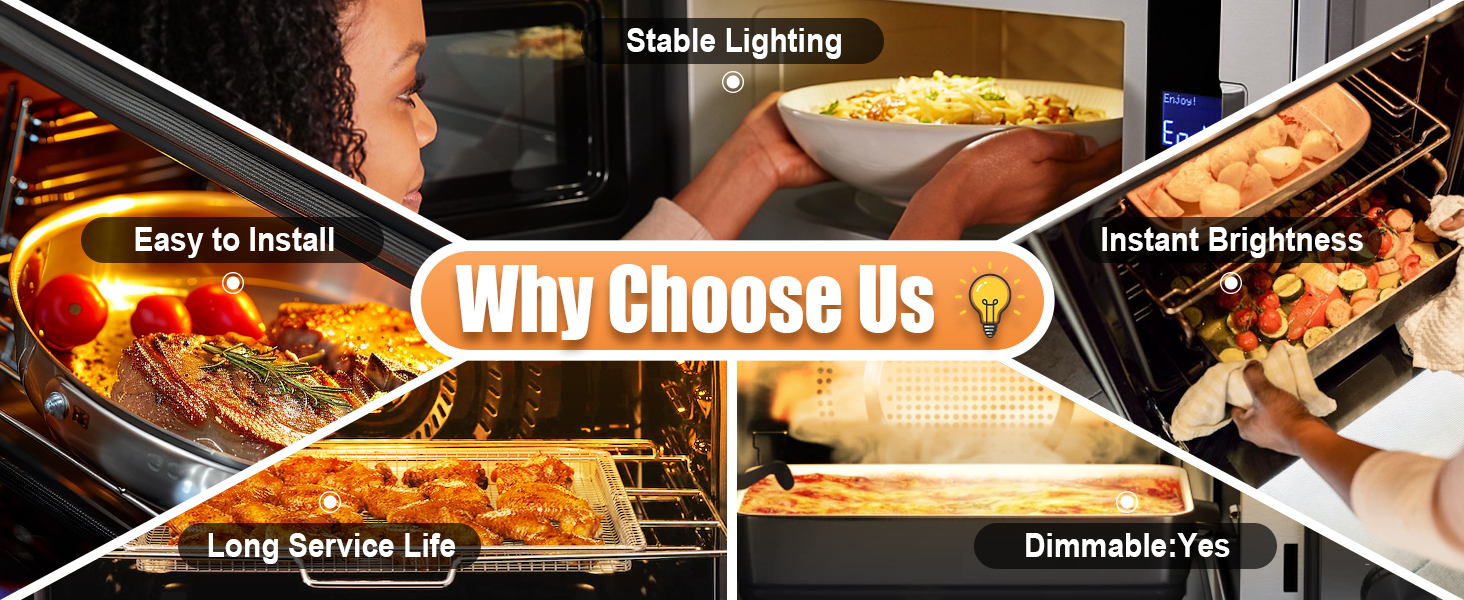 Microwave Light Bulb