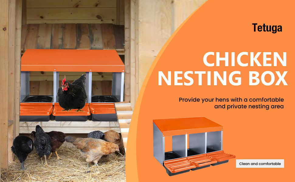 Tetuga Chicken Nesting Box, 3 Hole Chicken Nesting Boxes for Laying Eggs Heavy