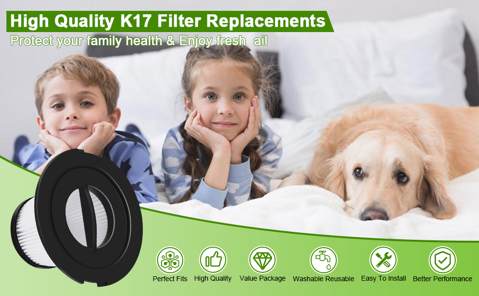 Anewise 6 Pack HEPA Filters for ORFELD V20 Cordless Vacuum Cleaner, Compatible with