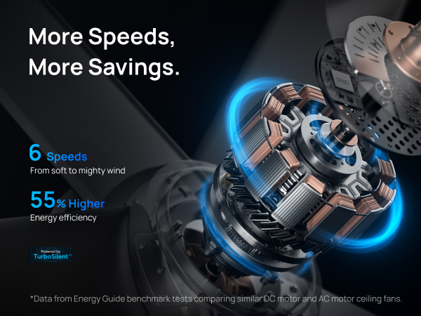 Ceiling Fans with DC Motor