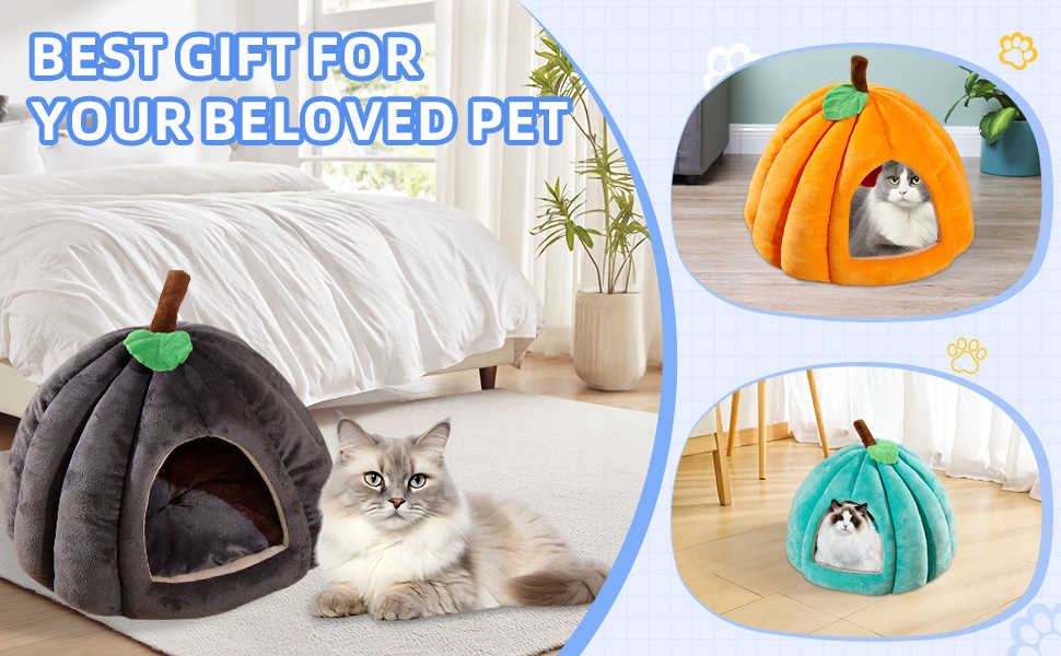 best gift for your pets