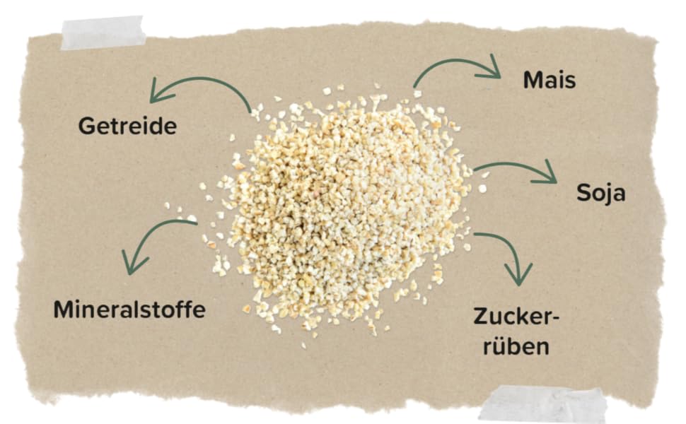 ein Bild eines Haufens Quinoa