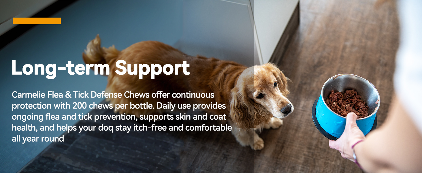 chewable flea and tick for dogs