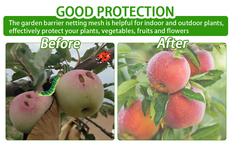 Filet De Protection Pour Les Arbres Fruitiers www.amazon.ca