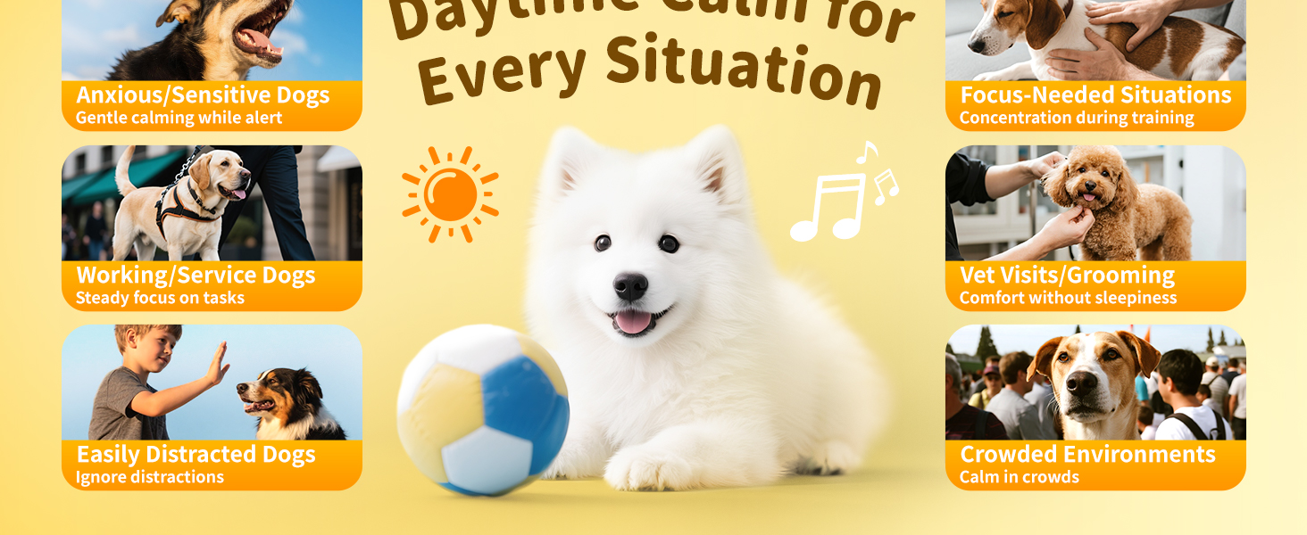 Calming Chews for Dog