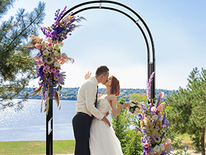 Arbor for Climbing Plants