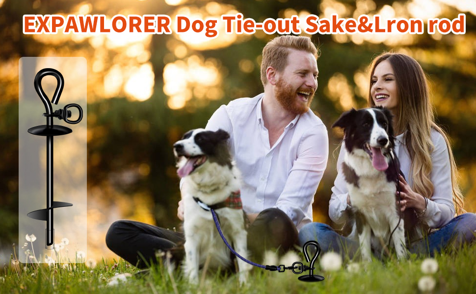 Dog Tie Out Stake Holds 12 Large Dogs up to 200lbs Easily Lifetime