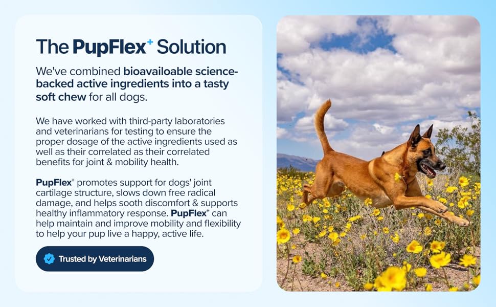 BioPup PupFlex+