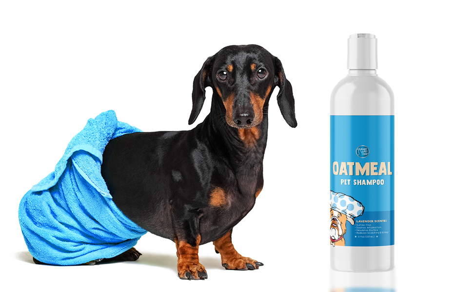 Dog Shampoo Oatmeal Shampoo for Dogs by Ready Pet Go