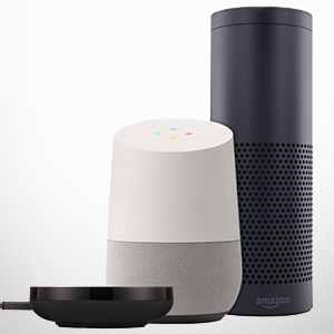 Alexa and Google Home devices.