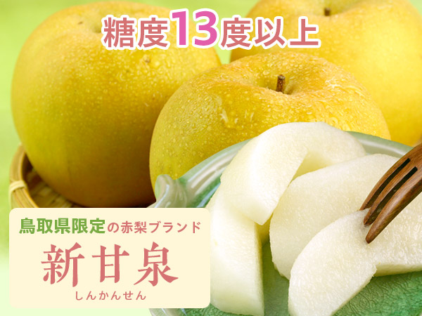 vivitan　二重＆遮光パッケージで賞味期限5年、常備梅　10点セット Amazon.co.jp: 風味絶佳.山陰 梨 光センサー糖度13度以上保証 新