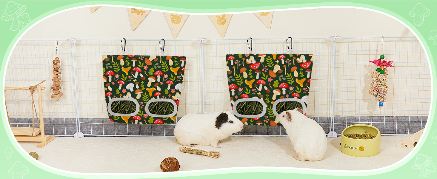 guinea pig hay feeder