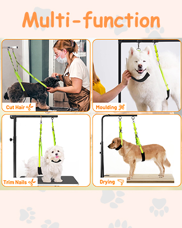 dog grooming