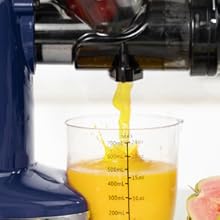 juicer entsafter gemüse und obst testsieger entsafter slow juicer