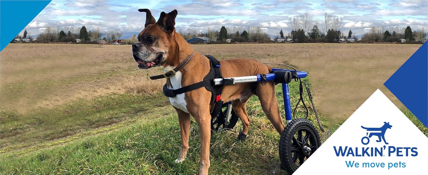 Walkin Pets Wheels Wheelchair for large dogs