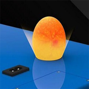 Eggs Automatic Egg Incubator