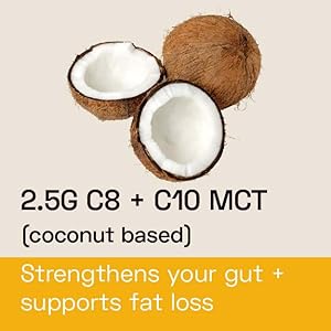 STRENGHTHENS YOUR GUT SUPPORT FAT LOSS