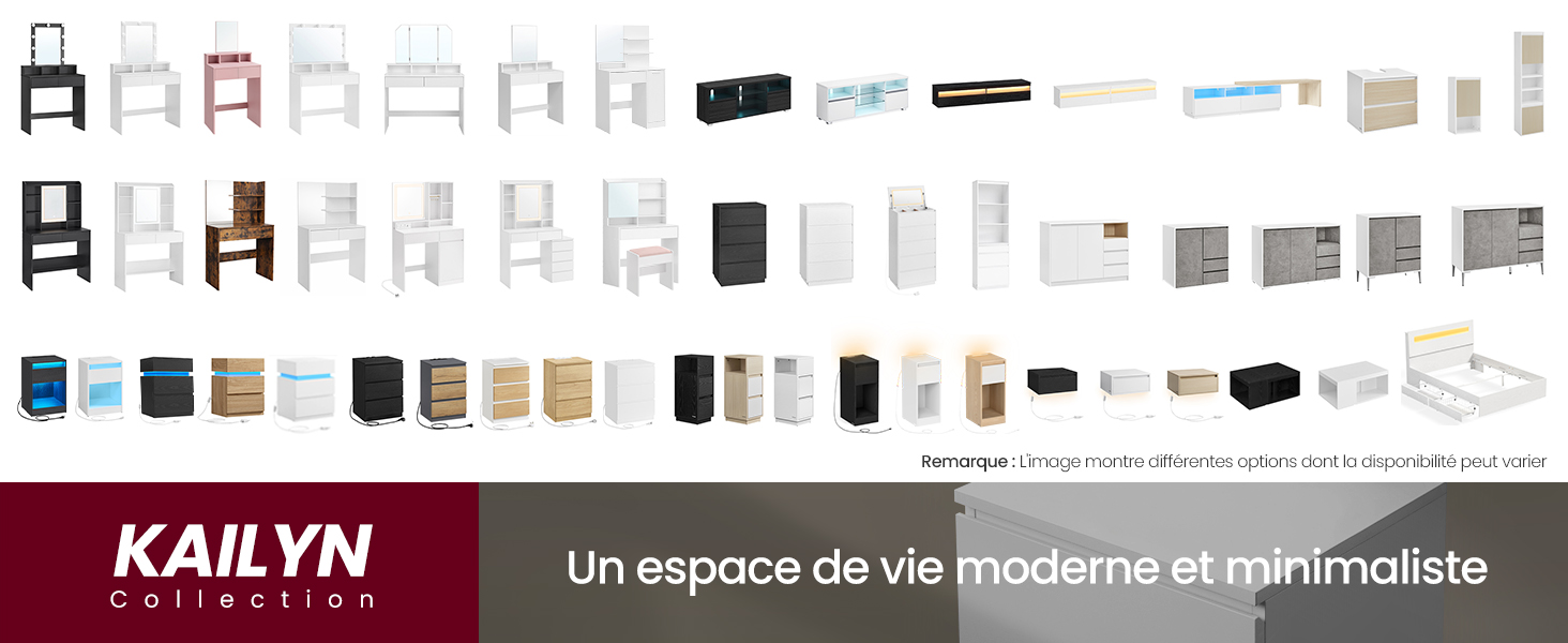 Présentoir de la gamme de produits présentant de multiples variantes d'organisateurs et de solutions de rangement de différentes couleurs et tailles. Le texte de la marque « KAILYN » est visible.