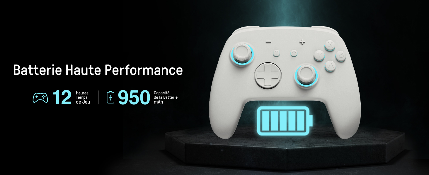 switch pro controller