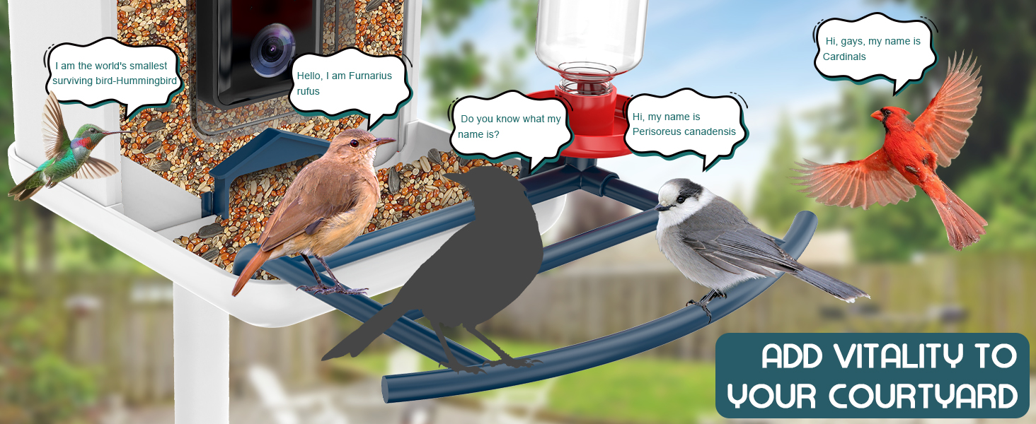 bird feeder for children