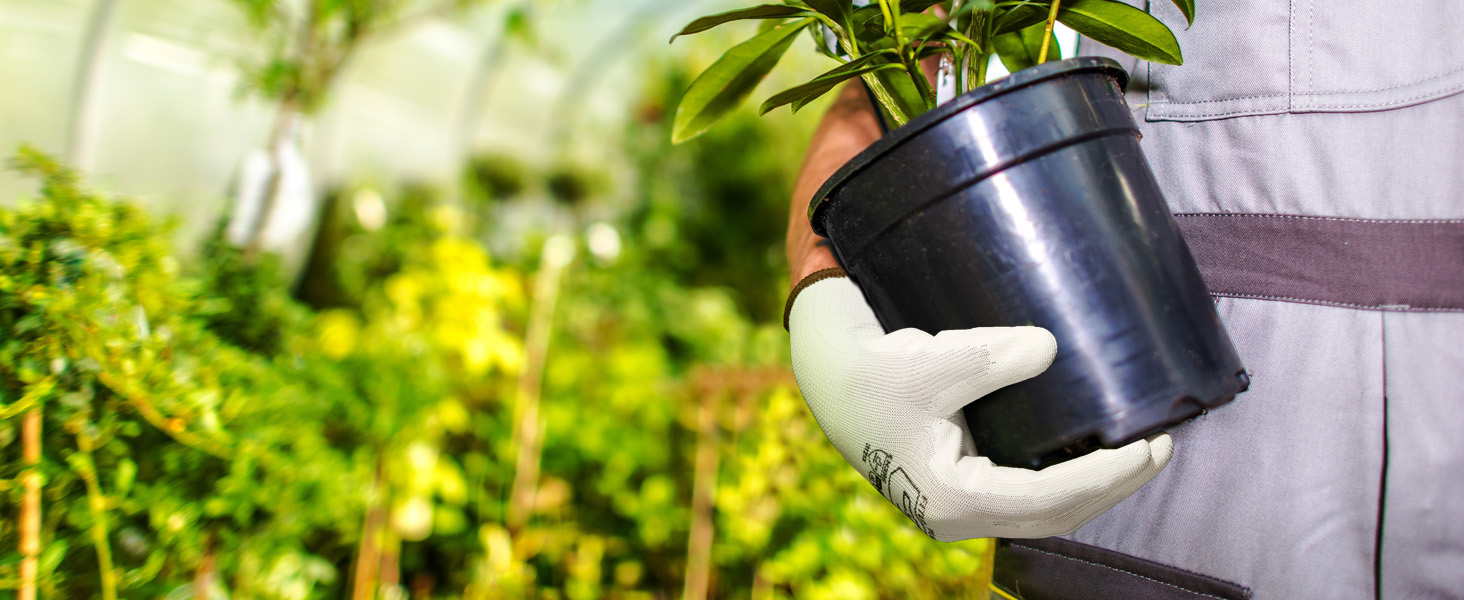 gardening
