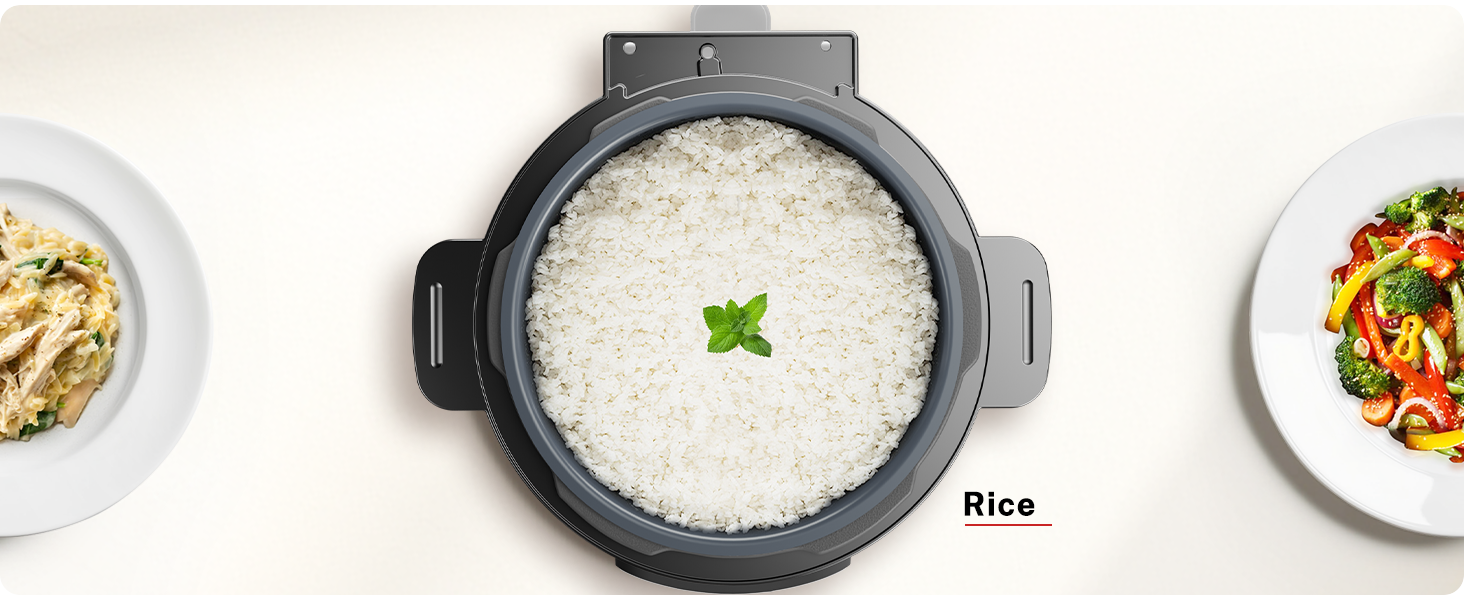 rice pressure cooker