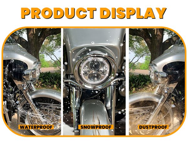 Amazon.com: ECOTRIC Chrome 7