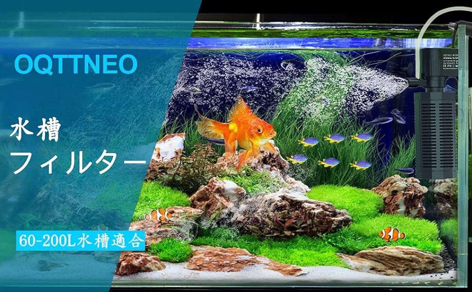 ポンさん専用 オーダーイモリウム水槽 楽天市場】（海水魚）サテライトリフジウムセット（ホソジュズモ
