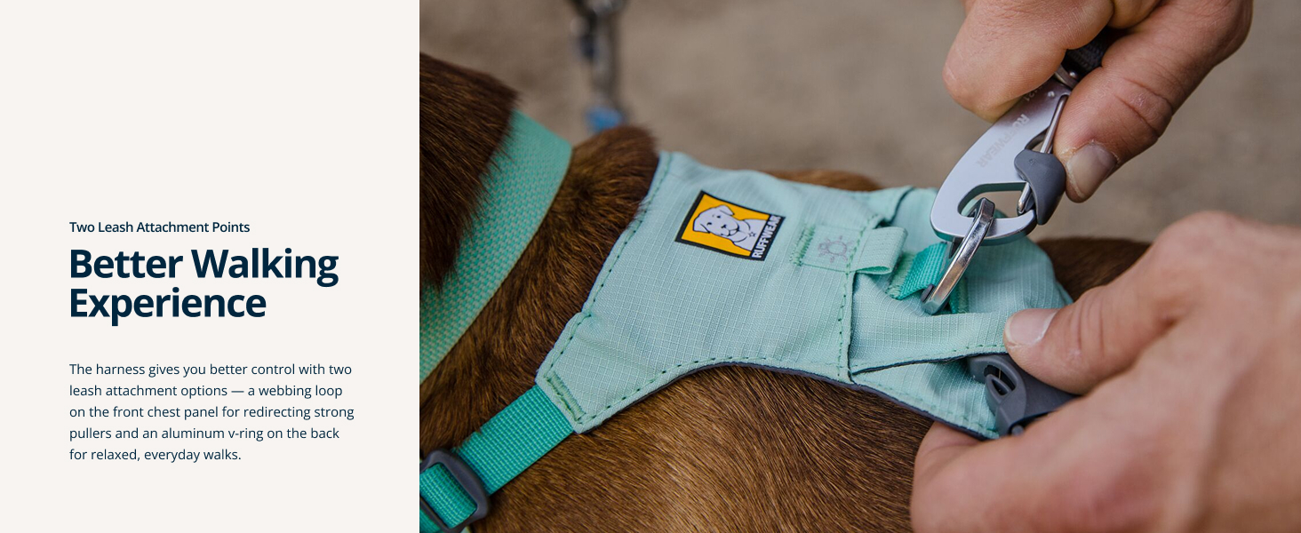 No pull dog harness for small dogs with secure fit and side buckles—great for daily walks.